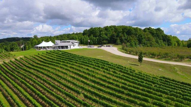 Expansive aerial view of vineyard and winery near Traverse City Michigan, up in Leelanau county, USA
