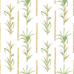 Sugar cane stalks with leaves seamless pattern. Bamboo shoots hand drawn watercolor illustration. Plantation harvest, sweet stems for sugar or rum production. Template in sketch style for food design.