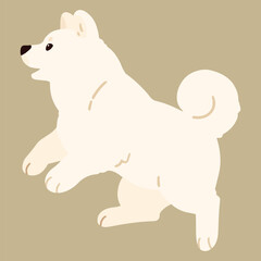 Simple and adorable flat colored white Akita Dog jumping and playing
