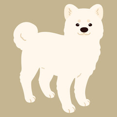 Simple and adorable white Akita Dog illustration standing