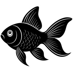 fish on a white background