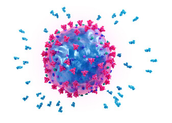 Antibodies around a covid 19 virus, immune system reacting to a corona virus, conceptual illustration.