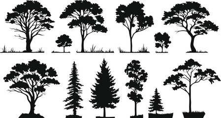 Silhouettes of trees, black and white illustration, variety of tree species, coniferous and deciduous, detailed branches and foliage, botanical art, park landscape elements, vector graphics style, min