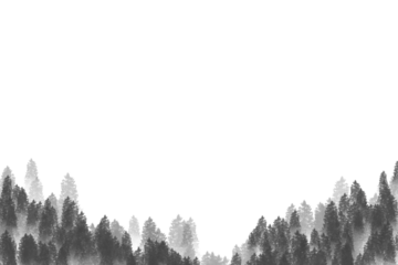 two tone pine trees frame, border forest with gray or vintage colors, nature background texture.