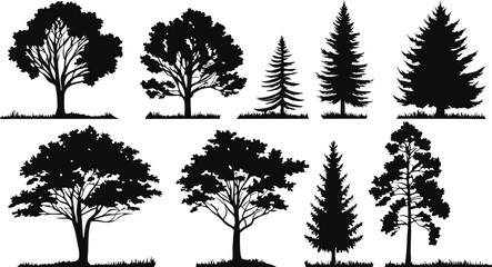 Obraz premium Silhouettes of trees, black and white illustration, variety of tree species, coniferous and deciduous, detailed branches and foliage, botanical art, park landscape elements, vector graphics style, min
