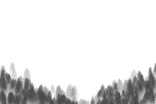 two tone pine trees frame, border forest with gray or vintage colors, nature background texture.