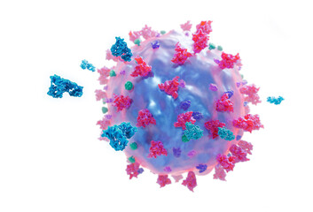 Antibodies around a covid 19 virus, immune system reacting to a corona virus, conceptual illustration.