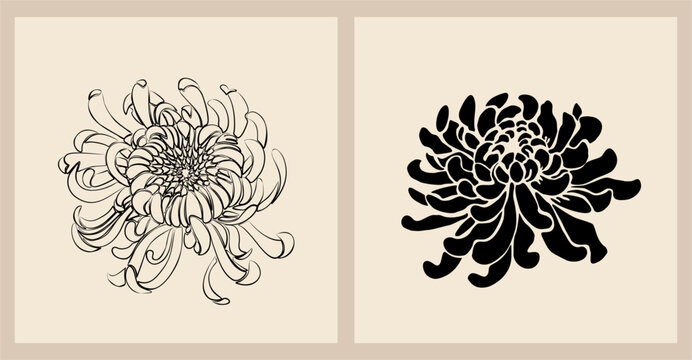 Hand drawn vector abstract flat vector illustration of chrysanthemum flowers, line art and silhouette. Japandi style design for trendy wall art, tattoo, logo, branding, packaging, labeling.