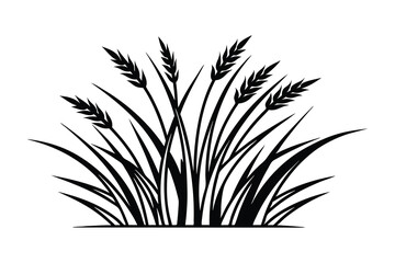 Grass silhouette on a white background