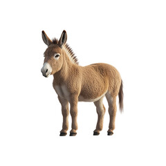 Donkey isolated on transparent background