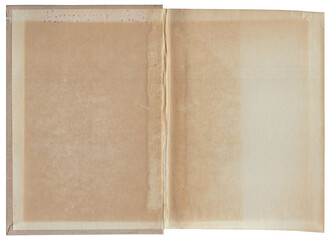 Vintage empty background of old book paper texture isolated