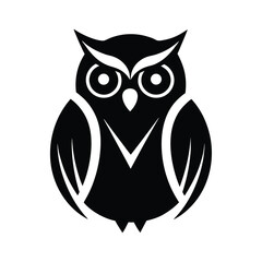 owl on a white background