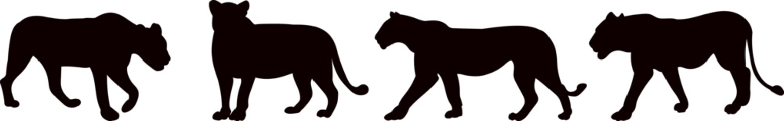 set of lioness silhouette in different angles, vector