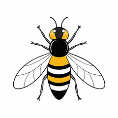 bee on white background