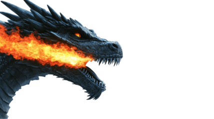 Dragon Head With Fire Illustration On Black Background