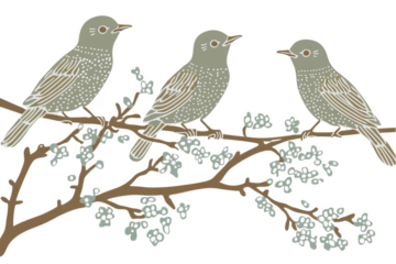 Illustration Of Three Gray Birds Perched On A Branch With Flowers Against Isolated Transparent Background