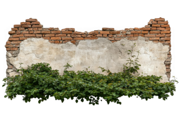 Grunge Wall Illustration Featuring Bricks And Green Plants Isolated On Transparent Background