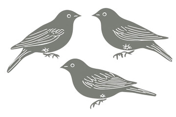 Fototapeta premium Isolated Grey Bird Illustration On Transparent Background Digital Graphic