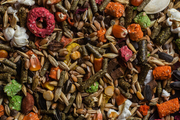 Rodent food 