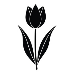 Minimalist silhouette of a blooming tulip flower on a white background