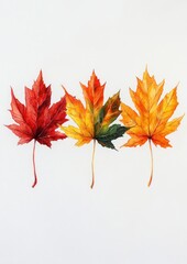 Fototapeta premium Maple Leaves Watercolor Illustration Set Vibrant Colors Red Orange Yellow Green
