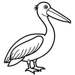 Graceful Pelican Line Drawing