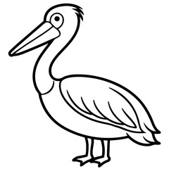 Graceful Pelican Line Drawing