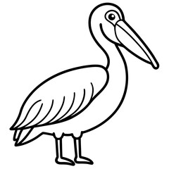 Graceful Pelican Line Drawing