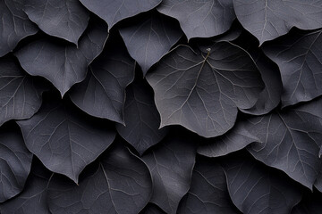 Obraz premium Organic close-up of skeletal leaves in autumn, with intricate vein systems resembling tentacles,