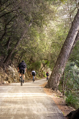 Obraz premium 3 cyclists on a woodland trail up a mountain