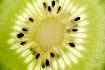 Slicing into the vibrant core of a ripe kiwi fruit