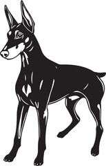 Doberman. Hand drawn vector illustration	
