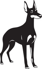 Doberman. Hand drawn vector illustration	