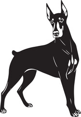Doberman. Hand drawn vector illustration	
