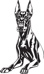 Doberman. Hand drawn vector illustration	
