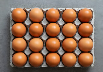 Top-Down Symmetrical View of Brown Eggs in a Paper Carton