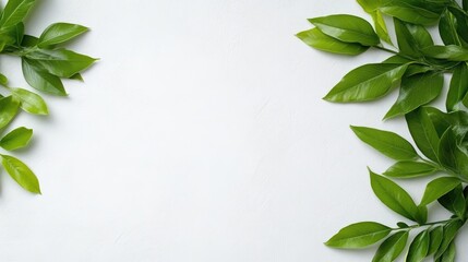 Fototapeta premium Fresh green leaves arranged in a corner pattern on a clean white background, minimalist design with vibrant foliage, and natural and elegant composition.