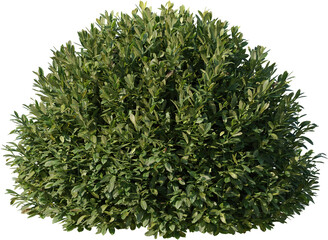 grass, lawn, texture, nature, field, plant, summer, pattern, environment, spring, meadow, turf, abstract, green, football, garden, golf, isolated, eco, 3d, soccer, fresh, park, land, leaf