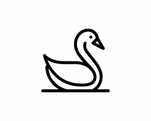 swan on the water