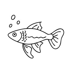 molly fish icon, molly fish line art - simple line art of molly fish, perfect for molly fish logos and icons