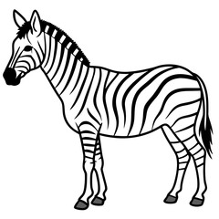 Minimalist Zebra Line Art Vector