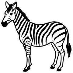 Minimalist Zebra Line Art Vector