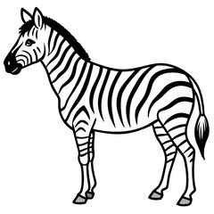 Minimalist Zebra Line Art Vector