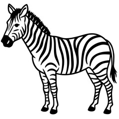 Minimalist Zebra Line Art Vector