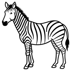 Minimalist Zebra Line Art Vector