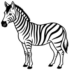 Minimalist Zebra Line Art Vector