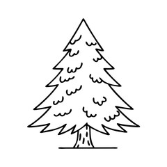 douglas fir tree icon, douglas fir tree line art - simple line art of douglas fir tree, perfect for douglas fir tree logos and icons