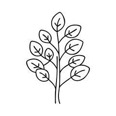 eucalyptus tree icon, eucalyptus tree line art - simple line art of eucalyptus tree, perfect for eucalyptus tree logos and icons