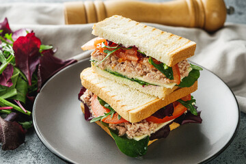 Fresh Tuna Sandwich with Veggies and Cheese Light and Tasty Meal for Any Time