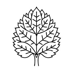 hornbeam tree icon, hornbeam tree line art - simple line art of hornbeam tree, perfect for hornbeam tree logos and icons